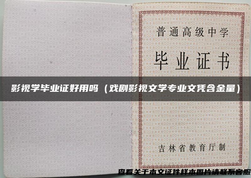 影视学毕业证好用吗（戏剧影视文学专业文凭含金量）