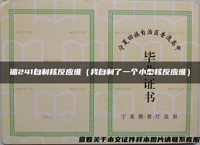 镅241自制核反应堆（我自制了一个小型核反应堆）