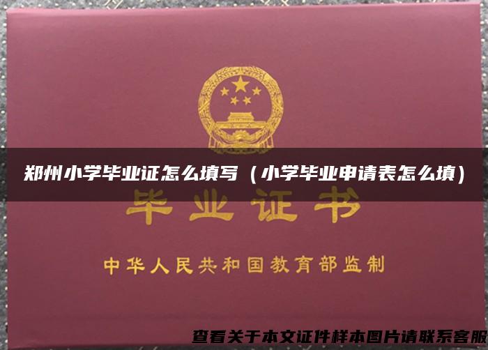 郑州小学毕业证怎么填写（小学毕业申请表怎么填）