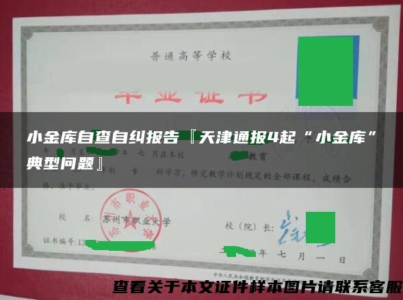 小金库自查自纠报告『天津通报4起“小金库”典型问题』