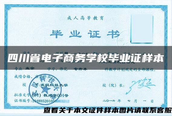 四川省电子商务学校毕业证样本