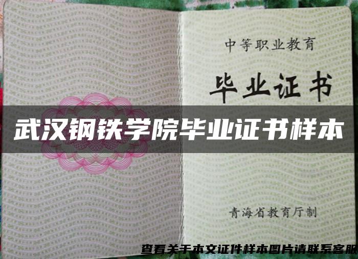 武汉钢铁学院毕业证书样本