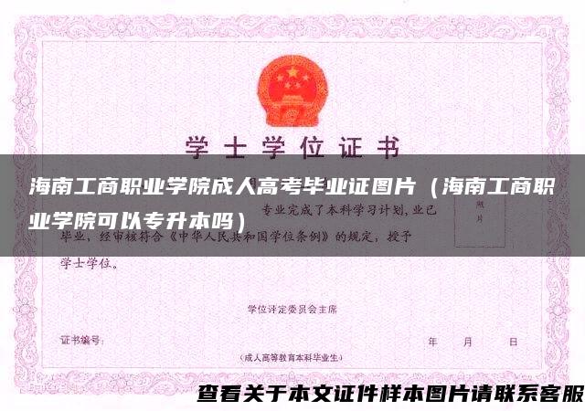海南工商职业学院成人高考毕业证图片（海南工商职业学院可以专升本吗）