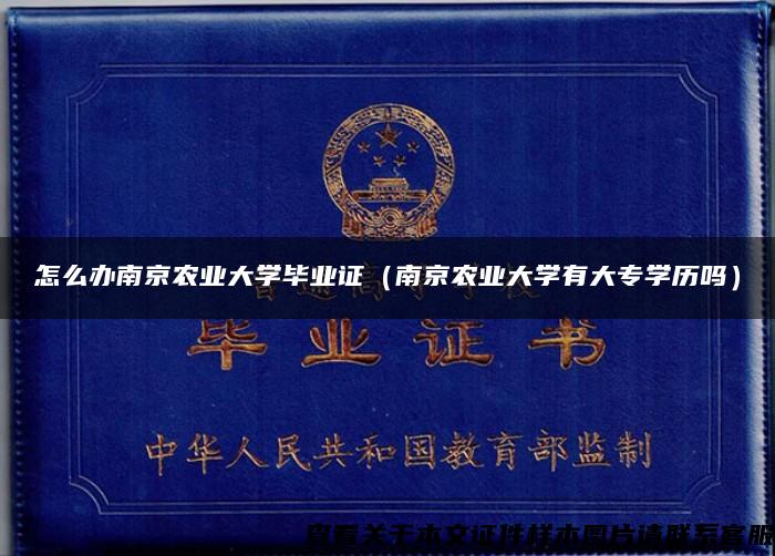怎么办南京农业大学毕业证(南京农业大学有大专学历吗) 怎么办南京农业大学毕业证(南京农业大学有大专学历吗)