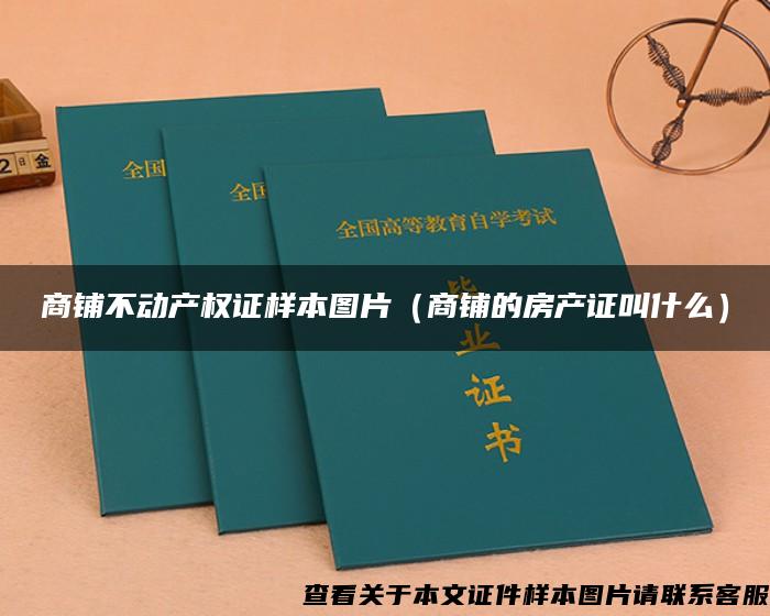 商铺不动产权证样本图片（商铺的房产证叫什么）