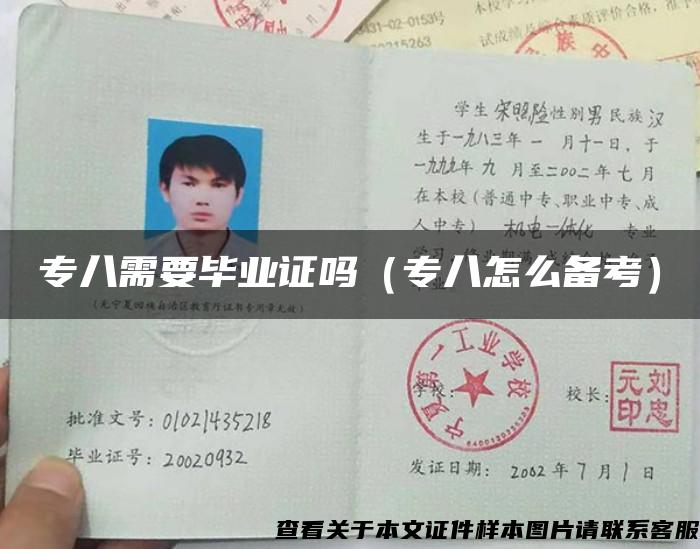 专八需要毕业证吗（专八怎么备考）