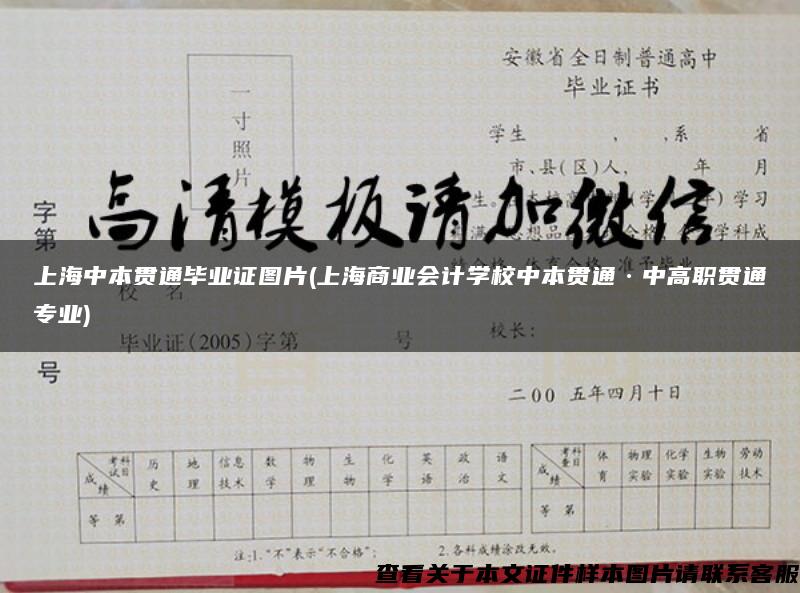 上海中本贯通毕业证图片(上海商业会计学校中本贯通·中高职贯通专业) 上海中本贯通毕业证图片(上海商业会计学校中本贯通·中高职贯通专业)