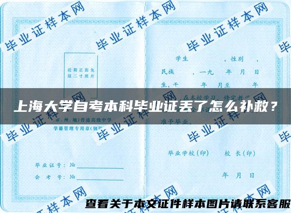 上海大学自考本科毕业证丢了怎么补救？
