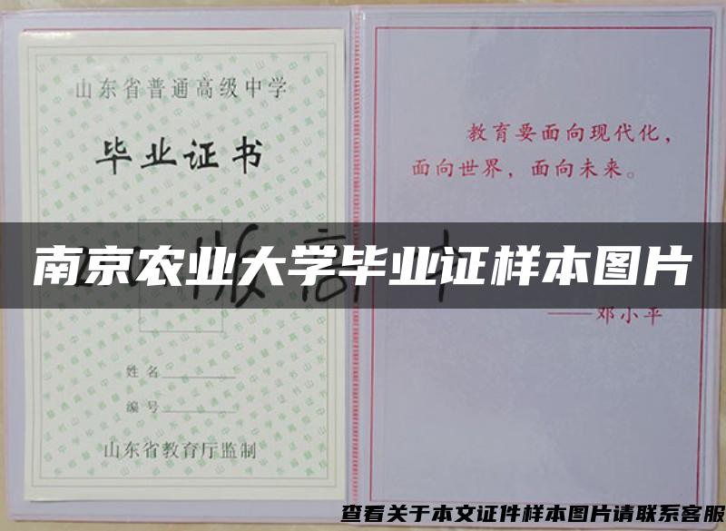 南京农业大学毕业证样本图片