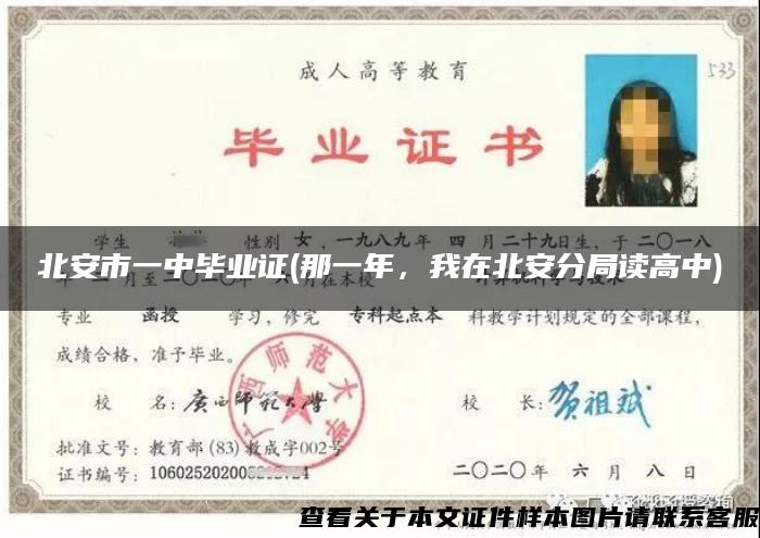 北安市一中毕业证(那一年，我在北安分局读高中)