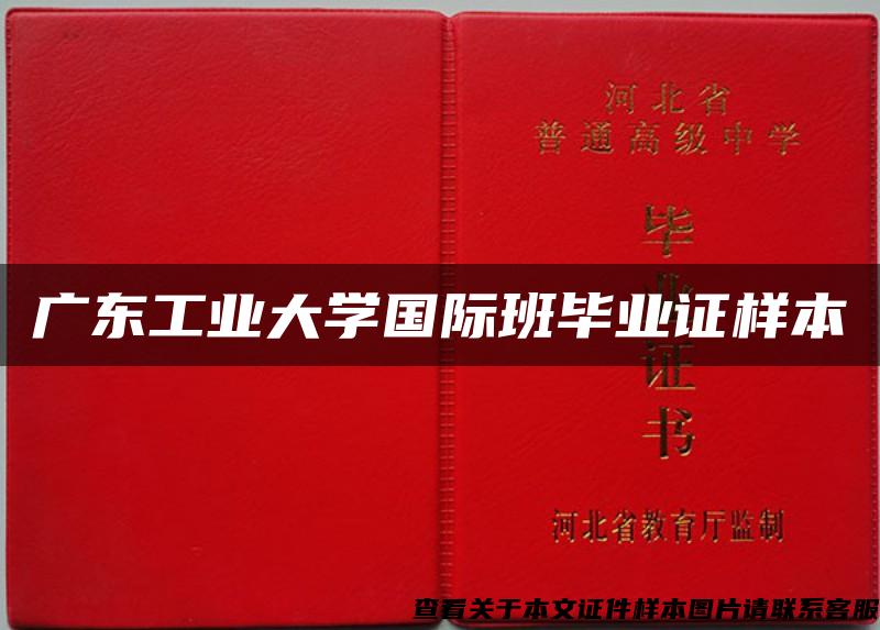广东工业大学国际班毕业证样本