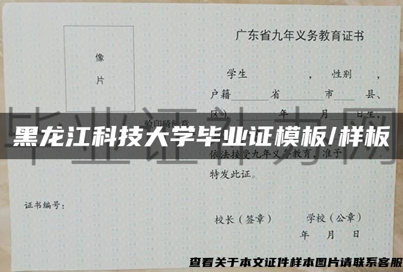 黑龙江科技大学毕业证模板/样板