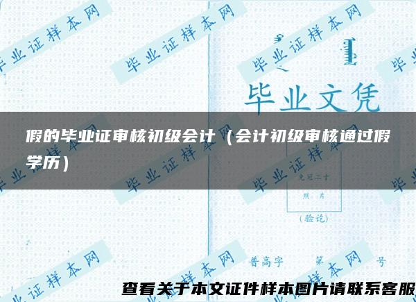 假的毕业证审核初级会计（会计初级审核通过假学历）