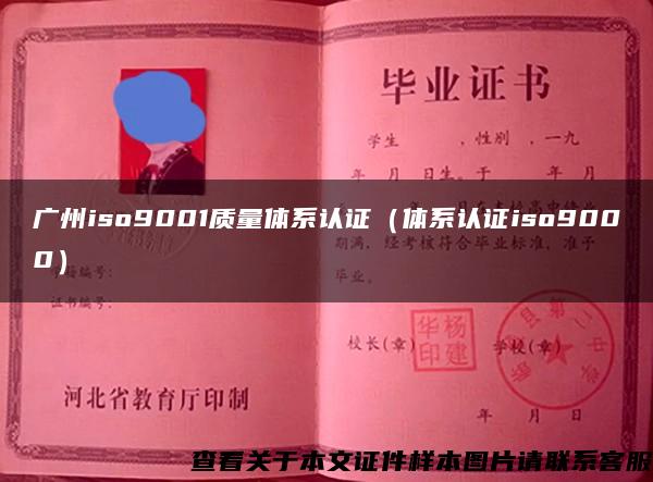 广州iso9001质量体系认证（体系认证iso9000）