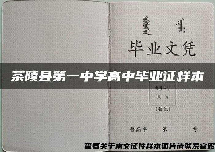 茶陵县第一中学高中毕业证样本