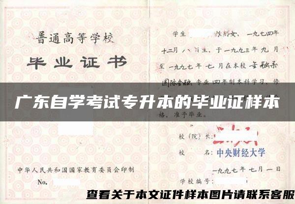 广东自学考试专升本的毕业证样本
