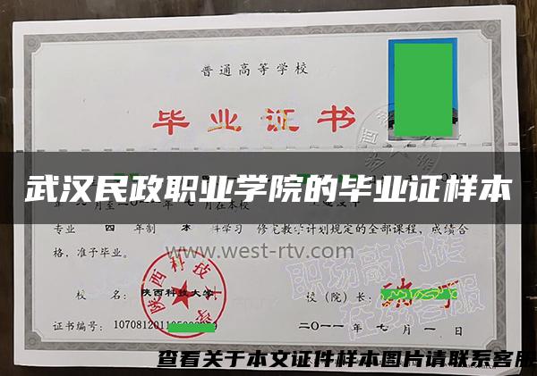 武汉民政职业学院的毕业证样本