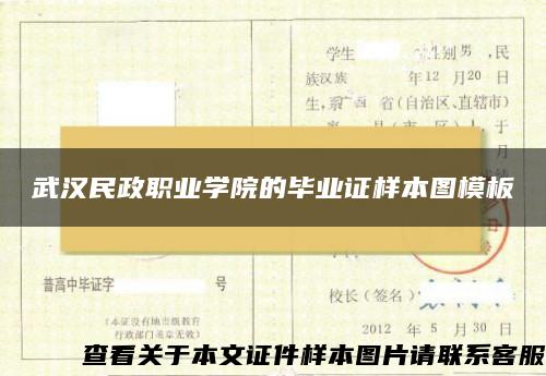 武汉民政职业学院的毕业证样本图模板