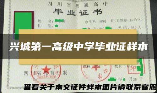 兴城第一高级中学毕业证样本