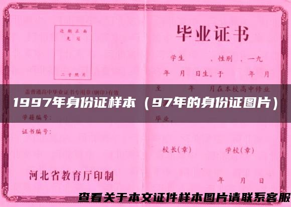 1997年身份证样本（97年的身份证图片）