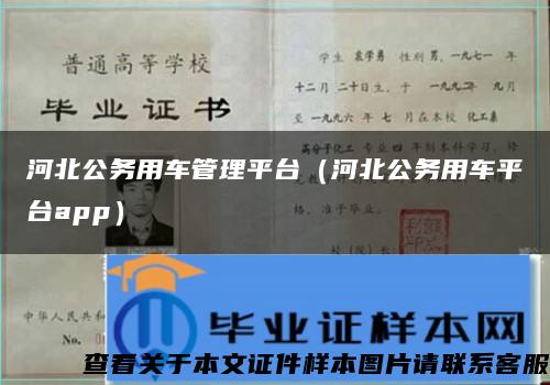 河北公务用车管理平台（河北公务用车平台app）