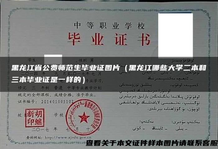 黑龙江省公费师范生毕业证图片（黑龙江哪些大学二本和三本毕业证是一样的）