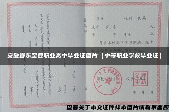 安徽省东至县职业高中毕业证图片（中等职业学校毕业证）