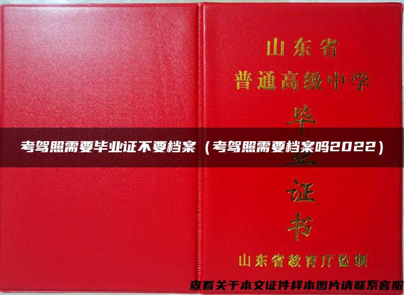 考驾照需要毕业证不要档案（考驾照需要档案吗2022）