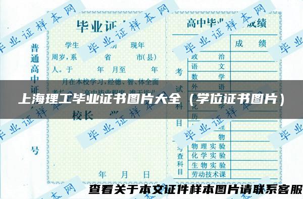 上海理工毕业证书图片大全（学位证书图片）