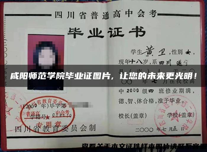 咸阳师范学院毕业证图片, 让您的未来更光明！