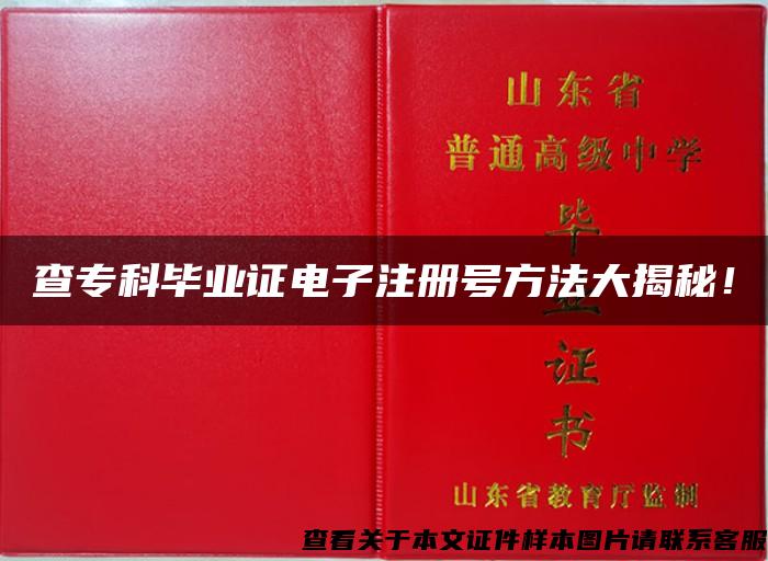 查专科毕业证电子注册号方法大揭秘！