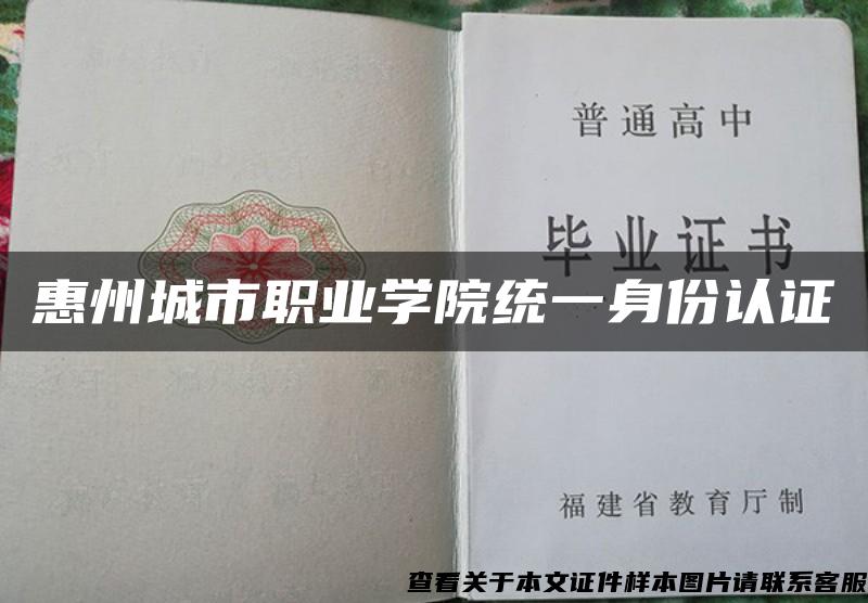 惠州城市职业学院统一身份认证