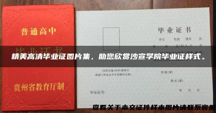 精美高清毕业证图片集，助您欣赏沙宣学院毕业证样式。