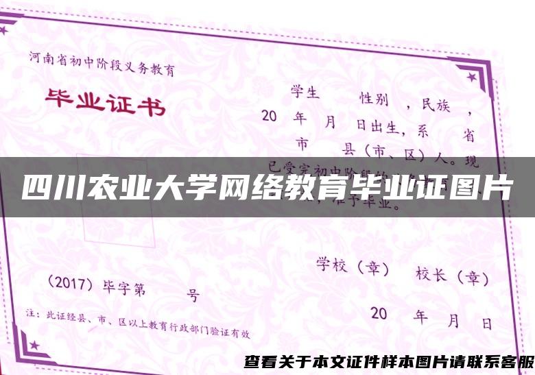 四川农业大学网络教育毕业证图片