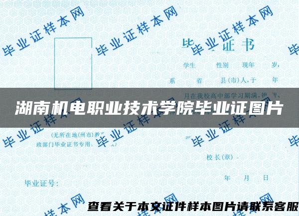 湖南机电职业技术学院毕业证图片