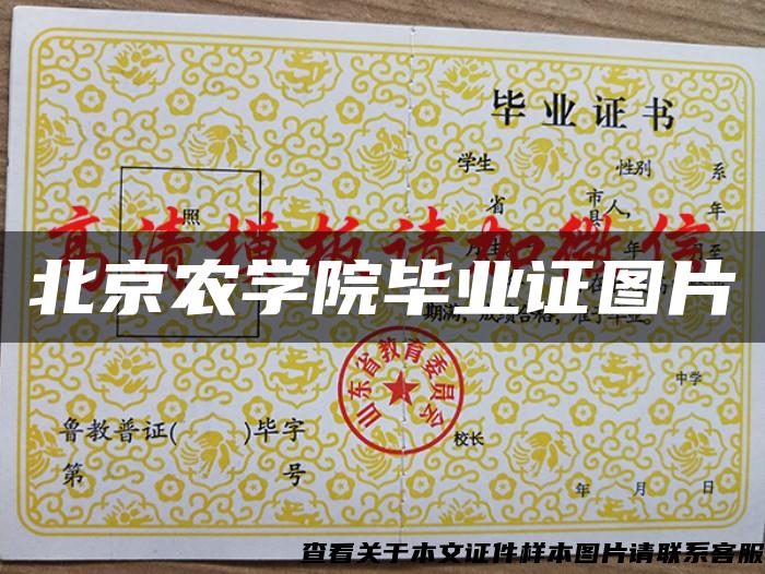北京农学院毕业证图片