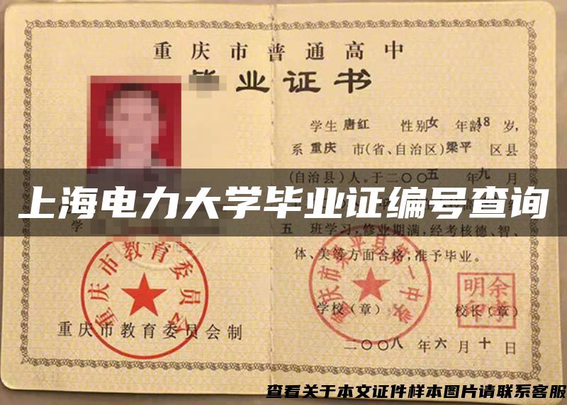 上海电力大学毕业证编号查询