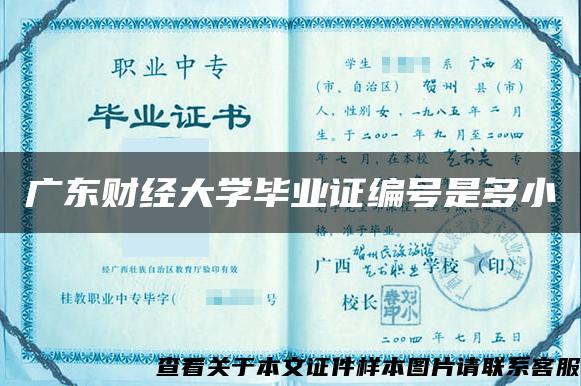 广东财经大学毕业证编号是多小