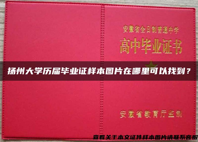 扬州大学历届毕业证样本图片在哪里可以找到？