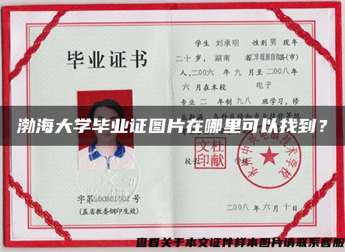渤海大学毕业证图片在哪里可以找到？