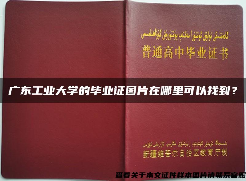 广东工业大学的毕业证图片在哪里可以找到？