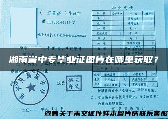 湖南省中专毕业证图片在哪里获取？