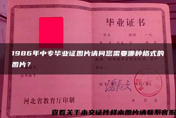 1986年中专毕业证图片请问您需要哪种格式的图片？