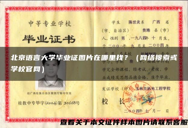 北京语言大学毕业证图片在哪里找？（网络搜索或学校官网）