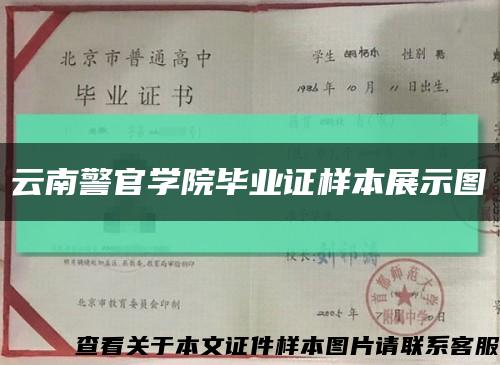 云南警官学院毕业证样本展示图缩略图
