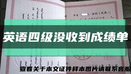 英语四级没收到成绩单缩略图