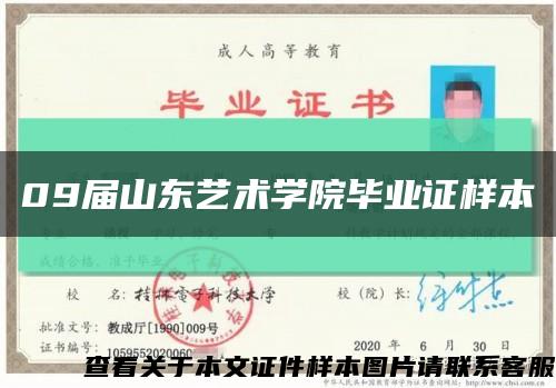 09届山东艺术学院毕业证样本缩略图