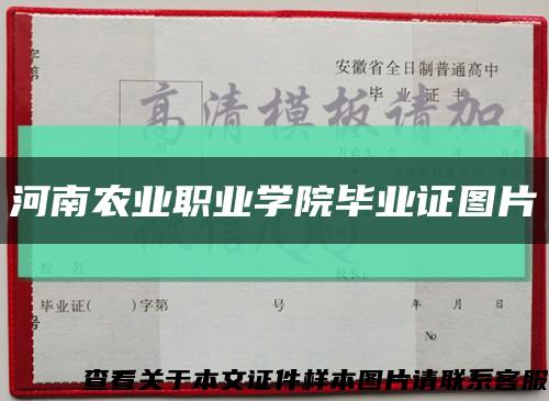 河南农业职业学院毕业证图片缩略图