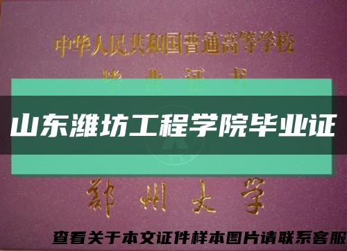 山东潍坊工程学院毕业证缩略图