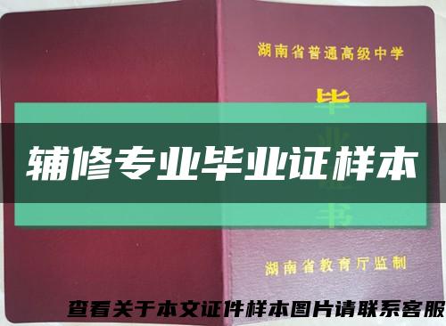 辅修专业毕业证样本缩略图